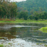 Chandubi Lake