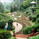 Ooty