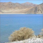 Pangong Lake