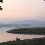 Chandubi