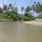Majorda Beach