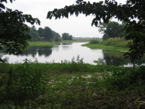 Majulia Nature