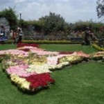 Rose Garden