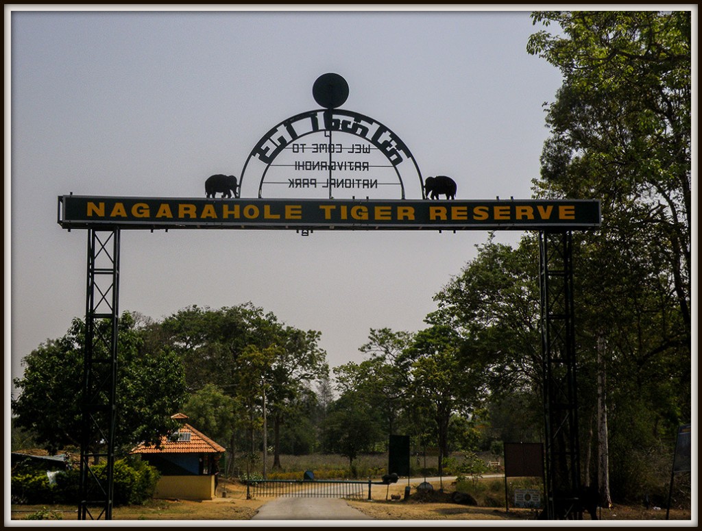 gate_entry