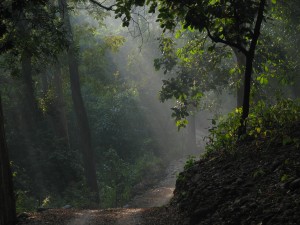 Corbett_View
