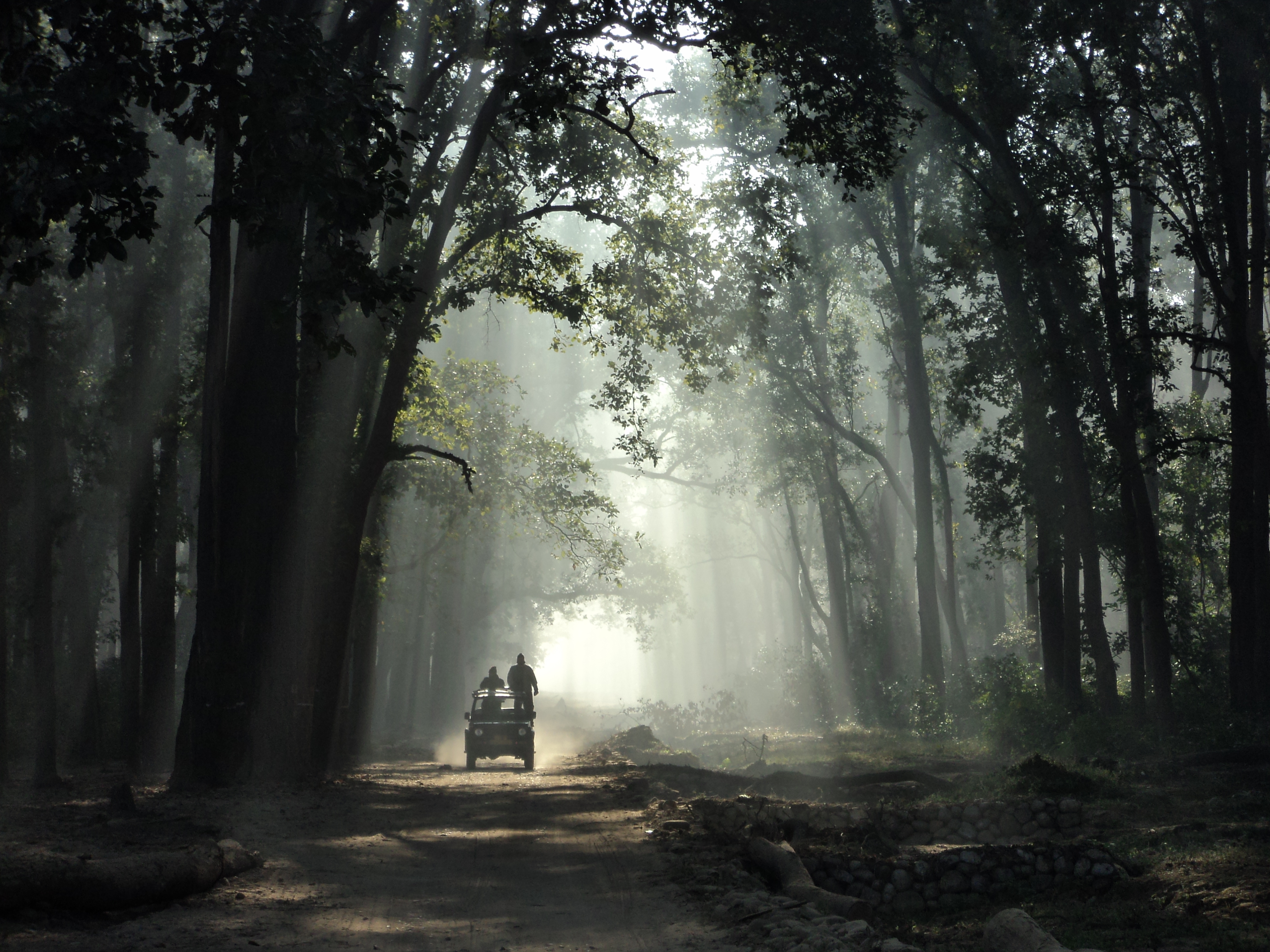 Jim_Corbett_National_Park_(India)