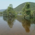 Lake_in_midst_of_Eastern_ghats_of_AP_INDIA