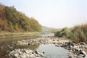 River_in_Corbett_National_Park