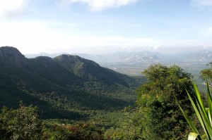 Tirumala_Overview