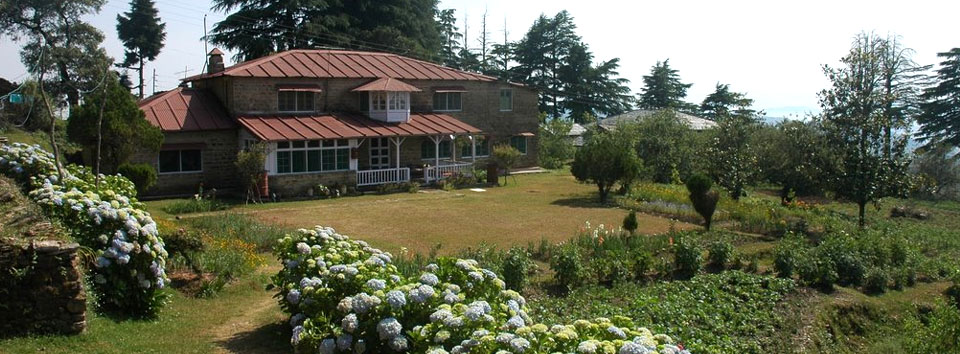 abbott_mount_banner
