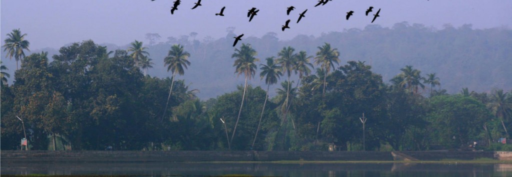 banner-carambolim-lake