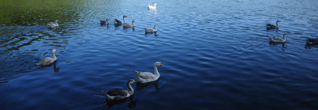 banner-mayem-lake