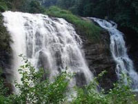 barehipani
