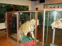 corbett3