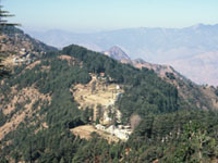 dhanaulti