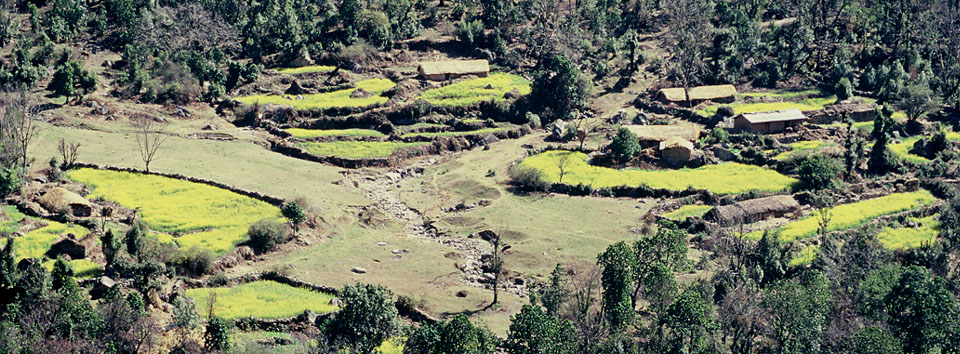 guptKashi_banner