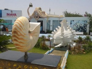 india-seashell-museum