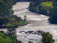 jauljibi