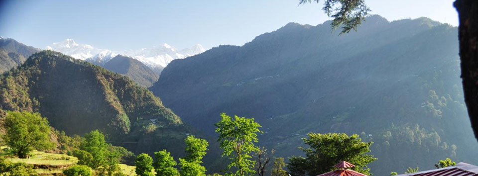 jeolikot_banner