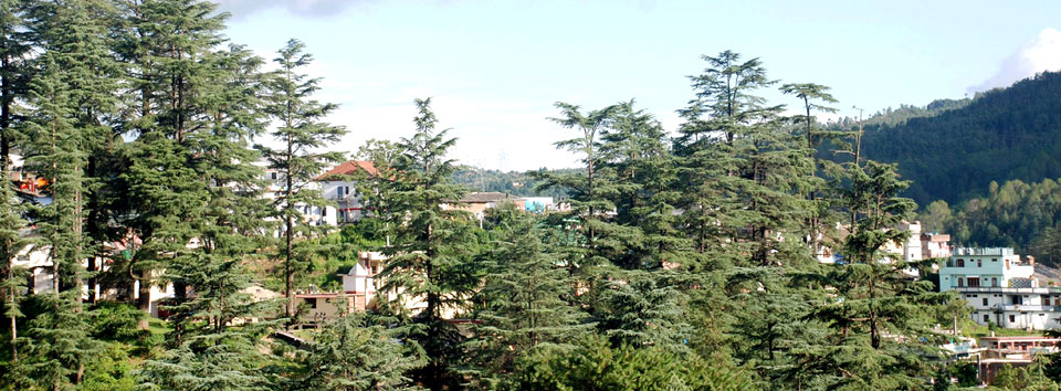 lohaghat_banner