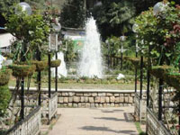 municipal_gardens