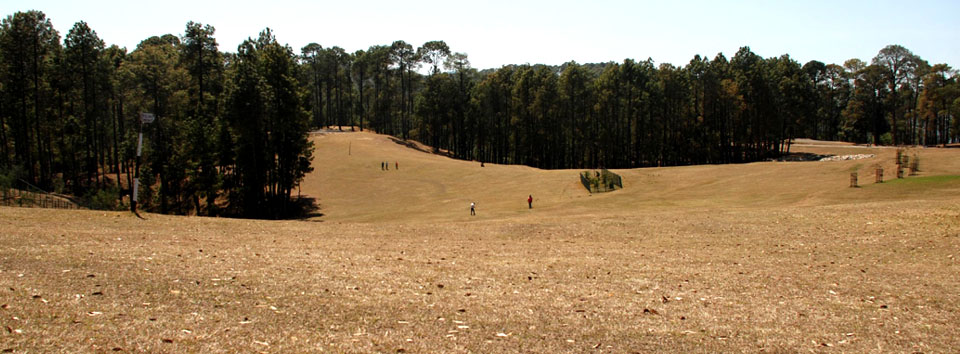 ranikhet_banner_0