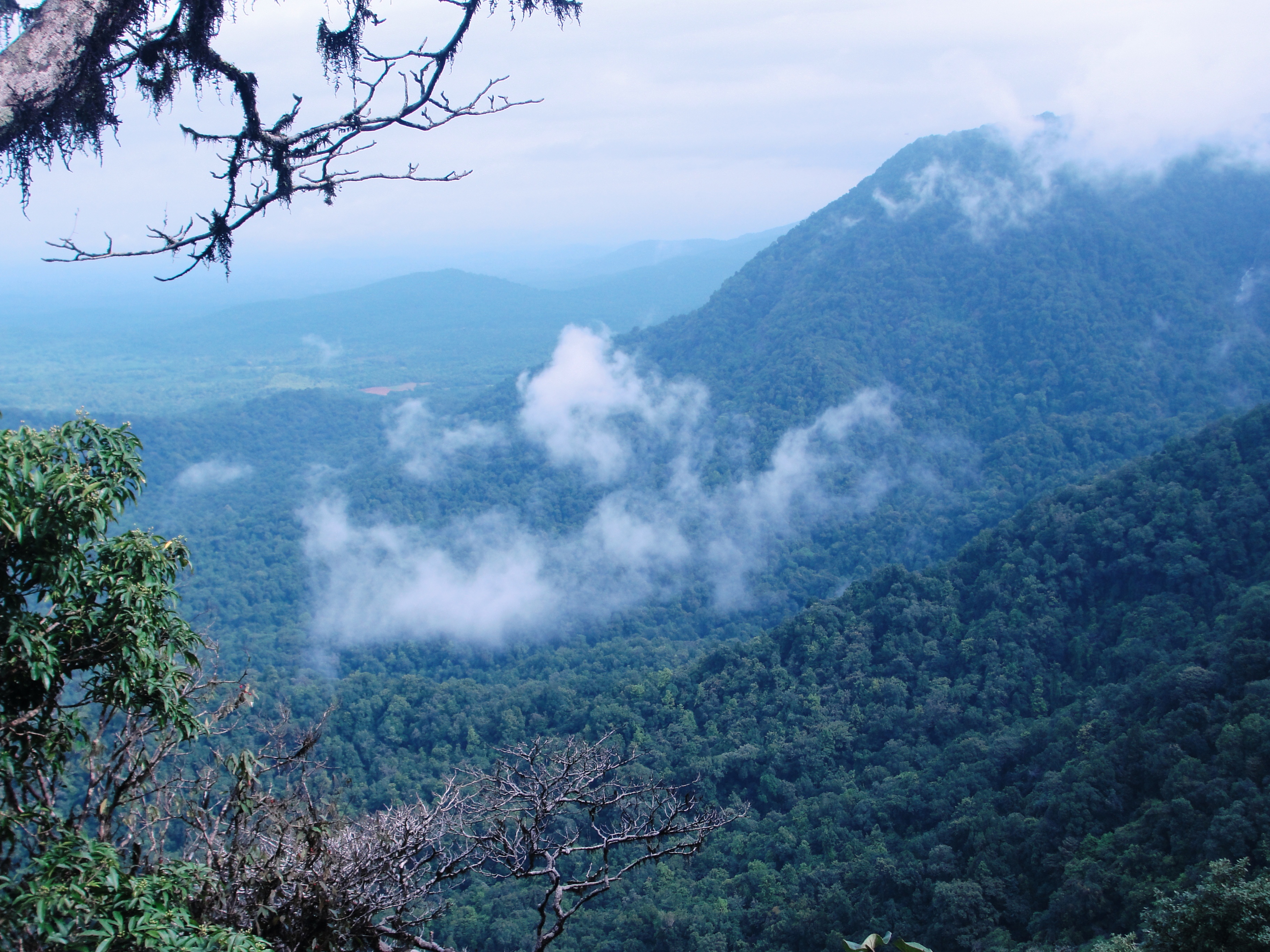 Agumbe_View_point