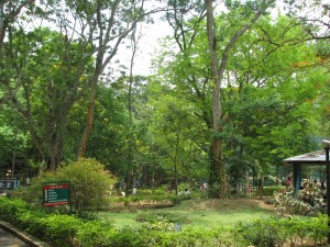 Bannerghatta_National_Park_4-24-2011_12-42-40_PM