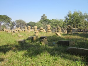 Ruins_of_Dimasa_Kingdom,_Rajbari,_Dimapur