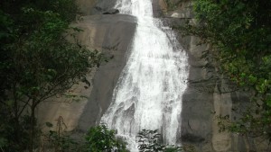 Thusharagiri_waterfall