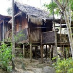 Traditional_house_at_Mawlynnong,_Meghalaya,_India
