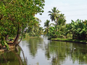 backwaters_(2068040007)