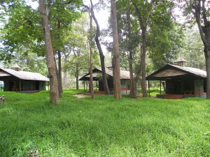 Tented_Niche_Accommodation_at_Parambikulam_Tiger_Reserve