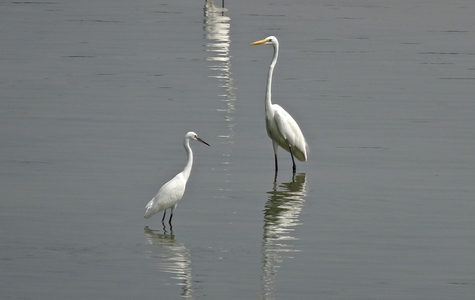 Moti Lake