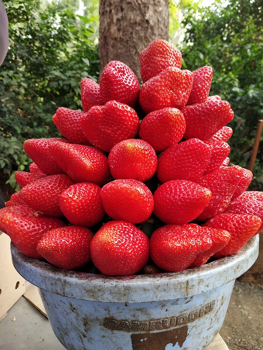 strawberry